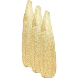 Zencefil Organik 3 Adet Ham Kabak Lifi Kabak Kesesi Ham Işlenmemiş Model Banyo Kese