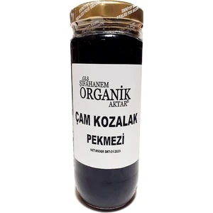 GLŞ Şifahanem Organik Aktar Çam Kozalak Pekmezi Odun Ateşinde  800 gr