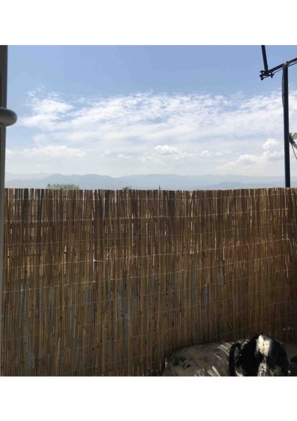 Doğal Kamış Hasır Çit 1m x 3m Doğal Bambu -Bahçe Çiti fırsatları