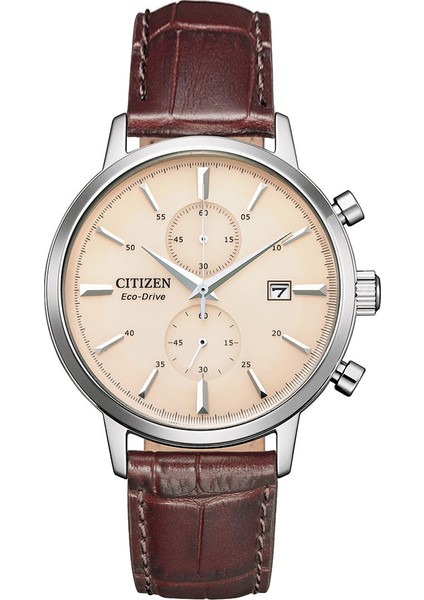 Eco-Drive CA7061-26X Erkek Kol Saati