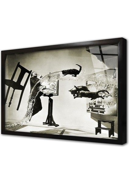Dali Atomicus Philippe Halsman Çerçeveli Cam Tablo