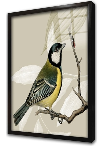 Dalda Kuş Iı Çerçeveli Cam Tablo