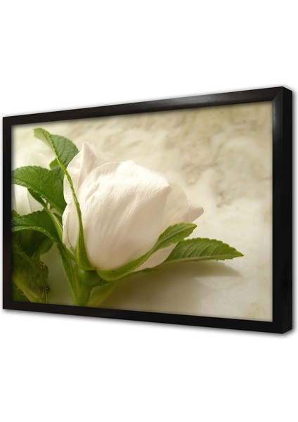 Beyaz Gül Çerçeveli Mdf Tablo