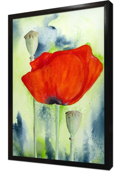 Gelincik Çerçeveli Mdf Tablo