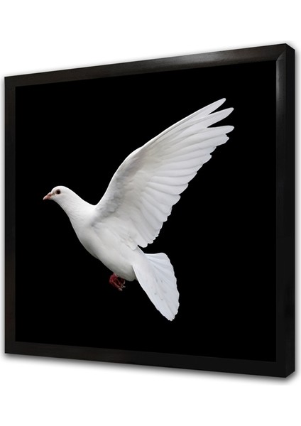 Güvercin Çerçeveli Mdf Tablo