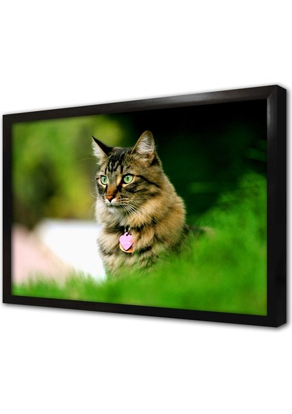 Kedi Çerçeveli Mdf Tablo