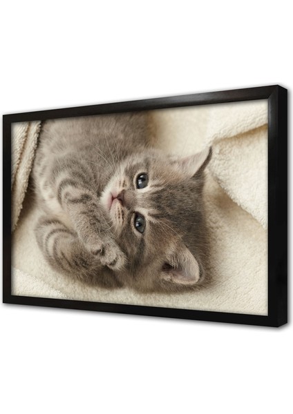 Kedi Yavrusu Çerçeveli Mdf Tablo