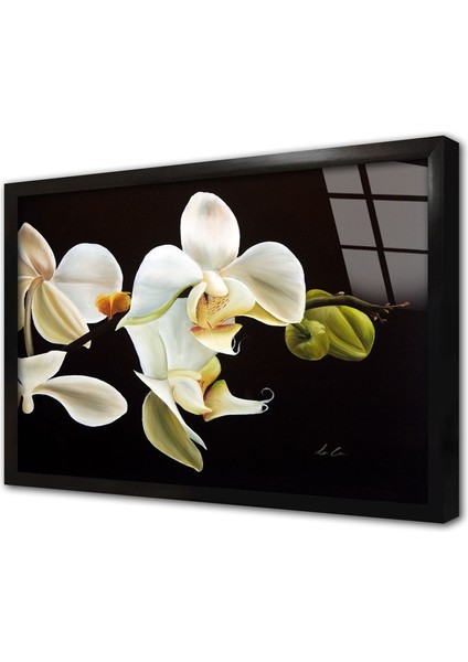 Siyah Beyaz Çiçek Çerçeveli Cam Tablo