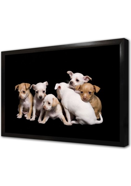 Köpek Yavrusu Çerçeveli Mdf Tablo