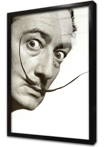 Salvador Dalinin Bıyığı Çerçeveli Cam Tablo