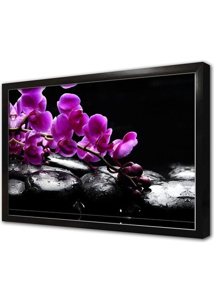 Spa Taşları ve Orkide Çerçeveli Mdf Tablo