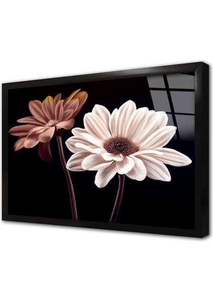 Siyah Beyaz Çiçek Çerçeveli Cam Tablo