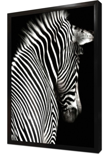Yakın Çekim Zebra Çerçeveli Mdf Tablo