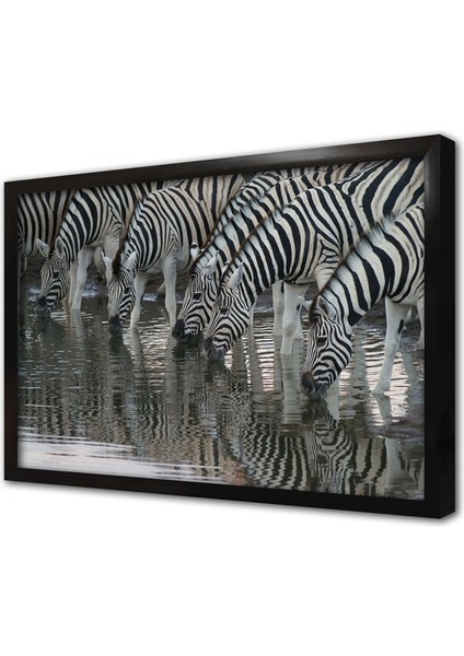 Zebra Sürüsü Çerçeveli Mdf Tablo