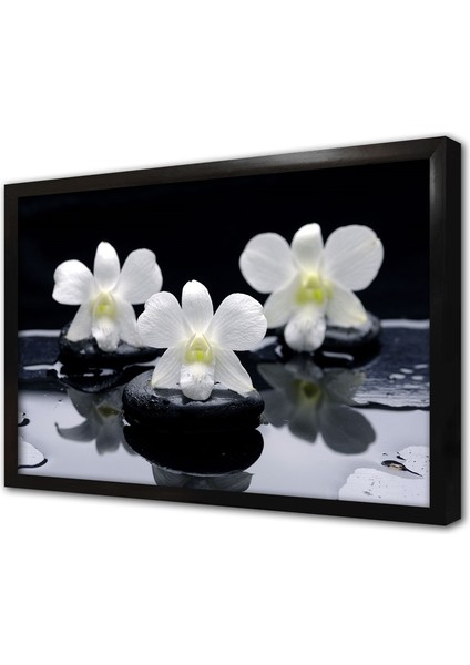Spa Taşları Çerçeveli Mdf Tablo