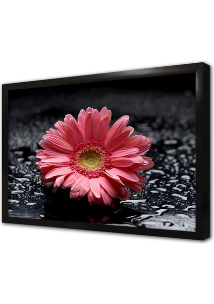 Spa Taşları ve Orkide Çerçeveli Mdf Tablo