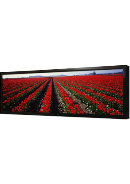 Panoramik Doğa Çerçeveli Mdf Tablo