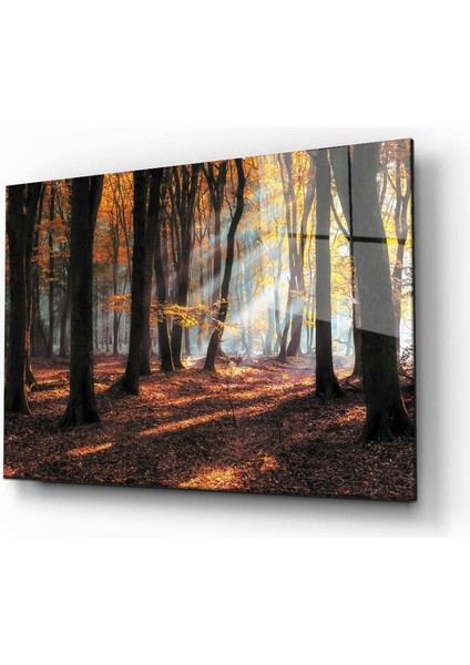 Idealizbiz Doğa Manzara Cam Tablo 4mm Dayanıklı Temperli Cam