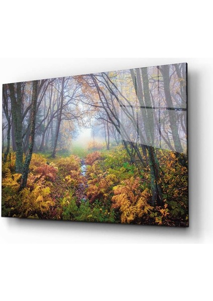 Idealizbiz Doğa Manzara Cam Tablo 4mm Dayanıklı Temperli Cam