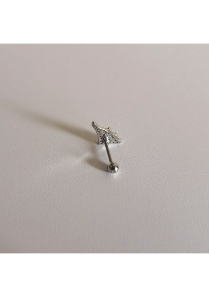 Cerrahi Çelik Örümcek Agı Piercing 6 mm