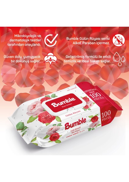 GÜLÜN RÜYASI ISLAK MENDİL 100 YAPRAK 3'LÜ PAKET