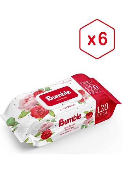 GÜLÜN RÜYASI ISLAK MENDİL 100 YAPRAK 3'LÜ PAKET