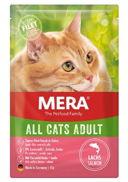 Tahılsız Somonlu Pouch Yetişkin Kedi Konservesi 85 Gram