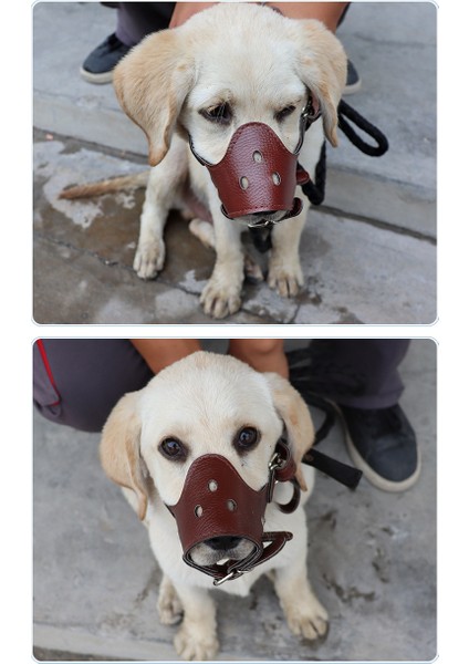 Siyah Xl Küçük ve Orta Boy Köpek Ağızlığı Evcil Hayvan Güvenliği Isırma Ağız Ağızlık (Yurt Dışından)