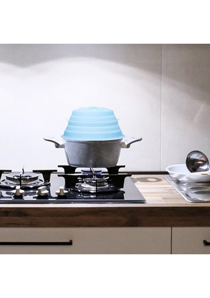 Bacalı Mikrodalga Splatter Kapağı Meyve Için Yıkanabilir Manyetik Mikrodalga Kapak (Yurt Dışından) modelleri