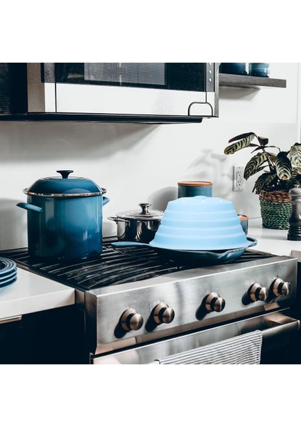 Bacalı Mikrodalga Splatter Kapağı Meyve Için Yıkanabilir Manyetik Mikrodalga Kapak (Yurt Dışından) indirimleri