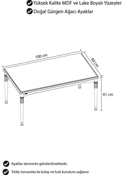 Zeyra Serisi 1.sınıf Mdf ve Lake Boya Avangart Orta Sehpa fiyatları