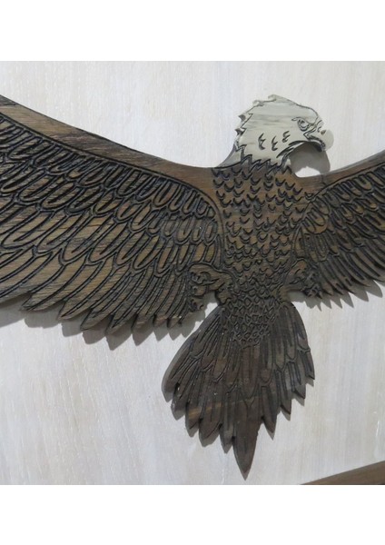 Kişiye Özel Kartal Kabartma Figürlü Özel Yapım Ahşap Çerçeveli Tablo