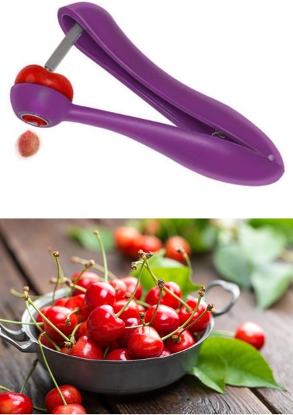 Pratik Kolay Zeytin ve Vişne Çekirdeği Çıkarma Aleti Aparatı fiyatları