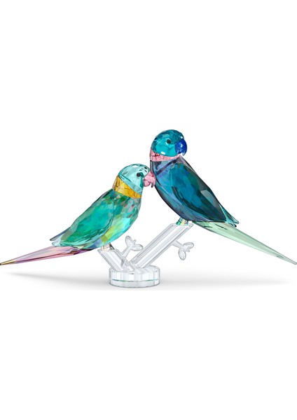5577124 Swarovski Biblo Jungle Beats:parakeet Couple