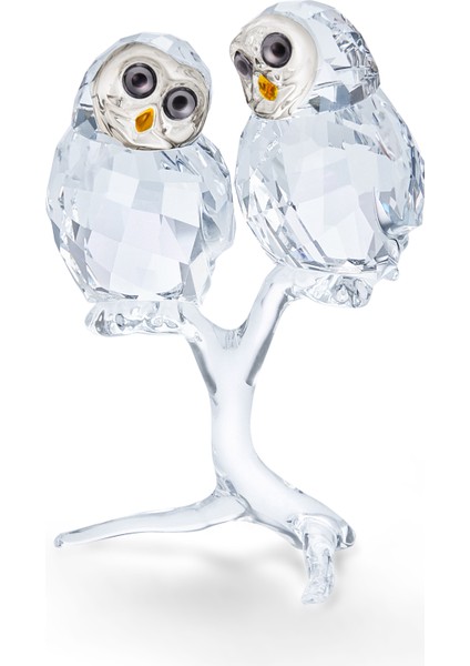 5493722 Swarovski Crystal Nature Owl Couple
