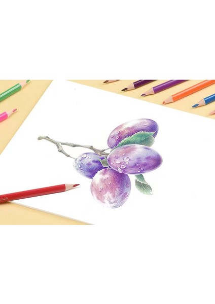 Arttrack Renkli Kalem Seti Yağlı Renkli Kurşun Çizim Renkli Kalem Tasarımcısı Kutulu 72 Renk Demir Kutulu (Yurt Dışından) fırsatları