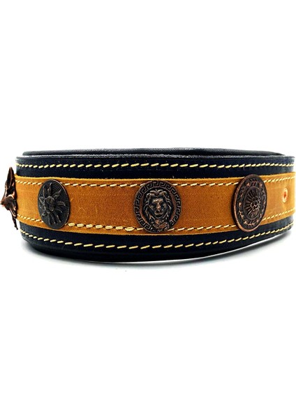 Özel Tasarım Deri Köpek Tasması 45 - 57 cm fiyatları