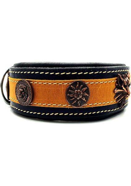 Özel Tasarım Deri Köpek Tasması 45 - 57 cm modelleri