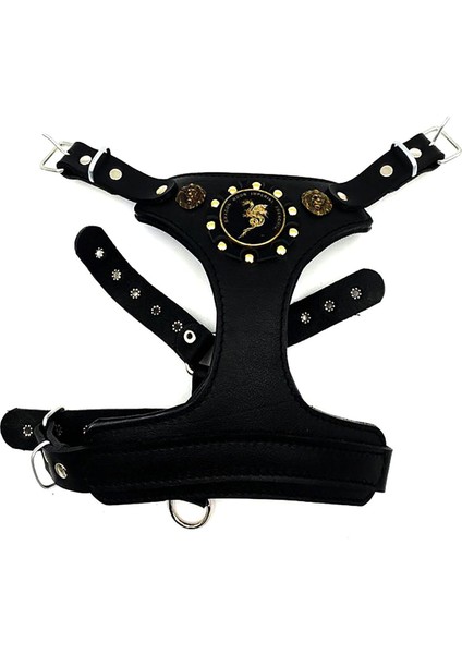 Küçük Irk ve Yavru Köpekler Için Dragon Başlı Özel Deri Tasarım Köpek Göğüs Tasması