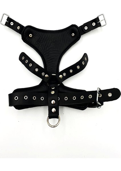 Küçük Irk ve Yavru Köpekler Için Dragon Başlı Özel Deri Tasarım Köpek Göğüs Tasması modelleri