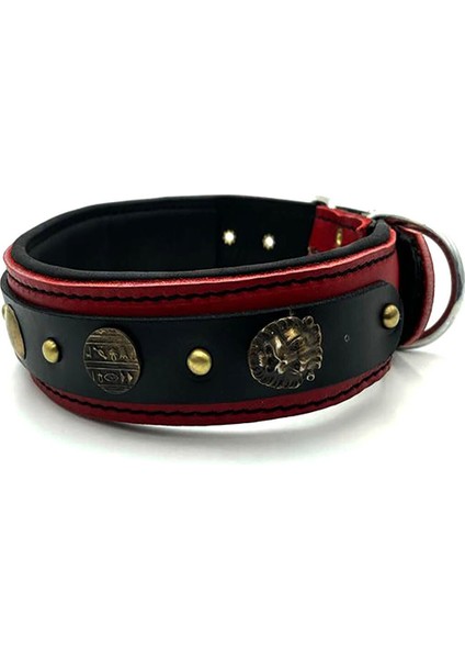 Özel Tasarım Deri Köpek Tasması modelleri