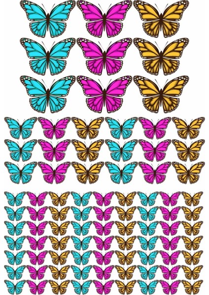 3D Kelebekler 90 Adet Mega Set