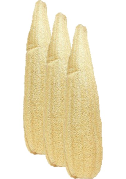 3 Adet Ham Kabak Lifi Kabak Kesesi Ham Işlenmemiş Model Banyo Kese