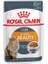 Intense Beauty Gravy Pouch Kedi Maması 85 gr 1