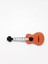 Klasik Gitar Rozet 1