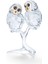5493722 Swarovski Crystal Nature Owl Couple 1