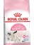 Mother & Baby Cat Yavru Kedi Maması 2 kg 1