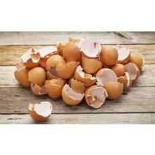 İlpasol Ilpasol® Yumurta Kabuğu TOZU-100KG