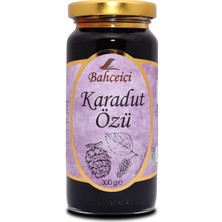 Bahçeiçi Karadut Özü 300 gr