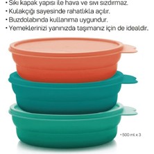 Tupperware Bon Bon Kaplar Saklama ve Taşıma Kabı 3 x 500 ml Hsgl